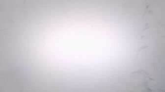Shark Attack Files S02E01 WEB H264-RBB